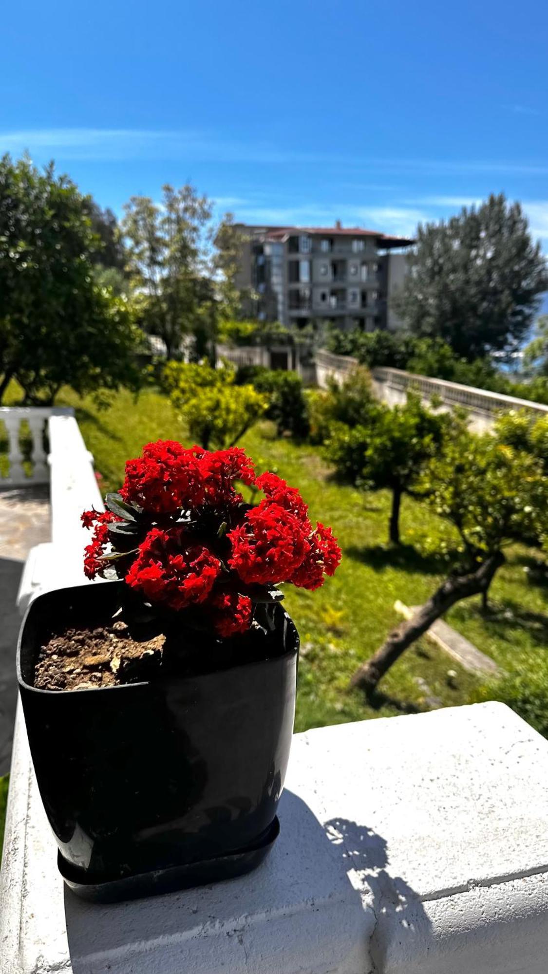 Vlorë Villa Mare - For Families & Groups מראה חיצוני תמונה